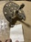 Steering Knuckle Assy LH 2006 Raptor 700