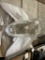 Rear Fender Comp