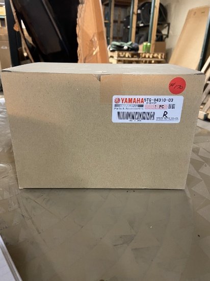 Yamaha Replacement Light  R