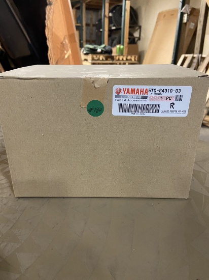 Yamaha Replacement Light R