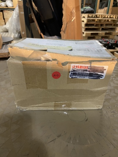 Yamaha Replacement Light L