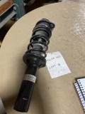 Kawasaki Strut