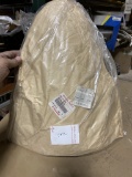Kawasaki Windshield