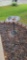 Cast Iron Bird Bath