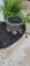Concrete Tortoise Planter
