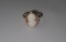 10KT Gold Cameo Ring