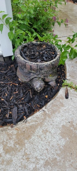 Concrete Tortoise Planter