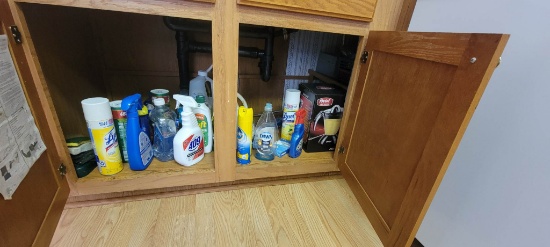 Cleaning Supplies Under Cabinet