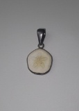 Marked Sterling Silver Pendant With Sand Dollar