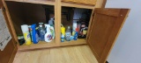 Cleaning Supplies Under Cabinet