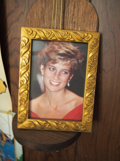 Princess Diana framed portrait