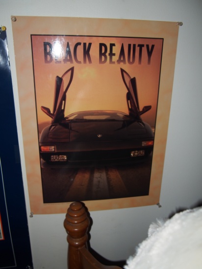 "Black Beauty" poster