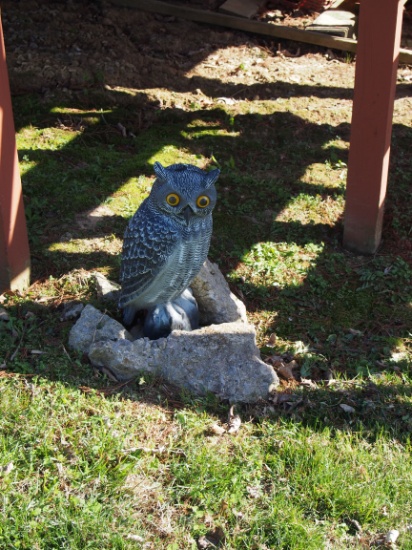 Yard owls - plastic