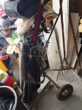 Vintage golf clubs and caddy