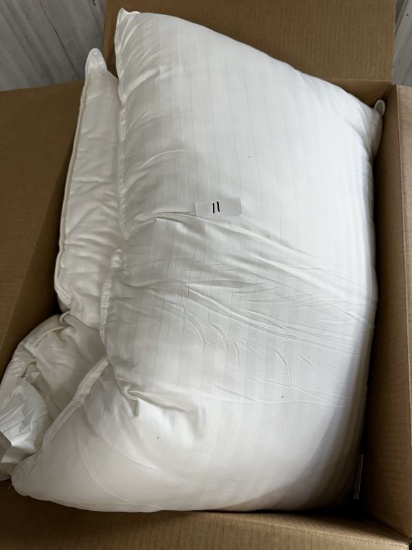 2 Polyester Pillows