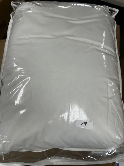 Enviorsleep Pillows