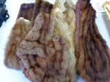 Lot of 6 - small animal furs