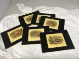 Lot of 6 Lady Clare Hardboard Placemats BIRDS