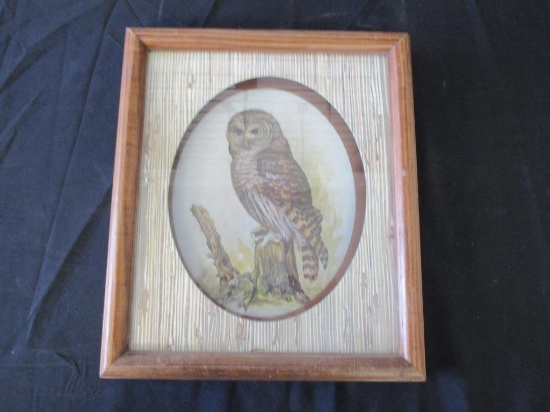 Vintage Wise Old Owl Print By E. Rambow 13" x 12"