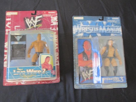 Lot of (2) Wrestling Figures