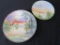 Lot of 2 Vintage Nippon Hand Painted Plates