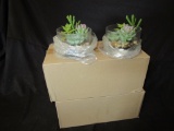 Lot of 6 Fake Plants in glass Bowl with rocks NEW