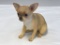 Danbury Mint Li'l Chihuahua Pup 7