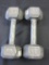 Lot of 2 -10 lbs Heavy Duty Iron Weights