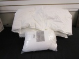 Lot of 1 Queen Comforter and Pillow