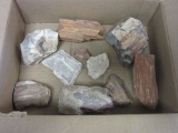 Box of Petrified Stones