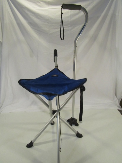 Lot of 2 Walking Canes - One With Seat