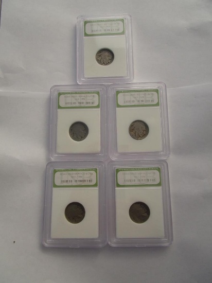 Lot of 5 Slabbed Buffalo Nickels