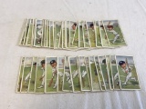 Lot of 45 Cricket Cigarette Cards  Cricketers 1925