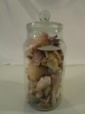 Tall Jar of Seashells