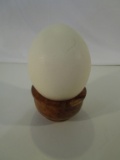 Real Ostrich Egg on Wood Base