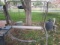 Swinging Bench