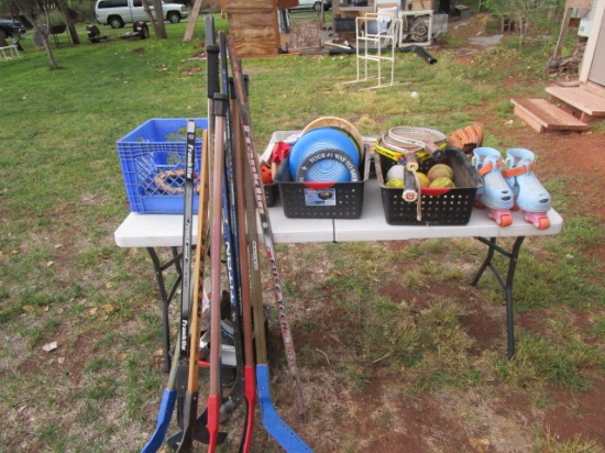 Large Lot of Sports Equipment
