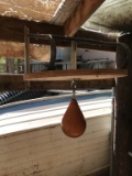 Speed Bag