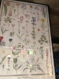 Fromed Poster of Flower identification