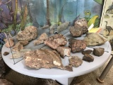 Bottom Glass shelf of rocks