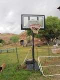 Lifetime Standard Basketball Hoop