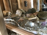 Shelf lot of rocks rocks,minerals, gems