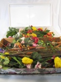 2 Boxes of Dried Flower & Plants for Decorating
