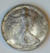 1993 American Eagle Silver Dollar 1 Oz .999 Silver