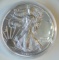 2011 1 Oz .999 Fine Silver American Eagle