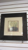 Floral/ Plant  Framed Print