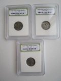 Lot of 3 Slabbed No Date Buffalo Nickels