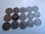 Lot of 15 Buffalo Nickels