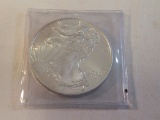 2014 UC Silver Eagle Toned Dollar