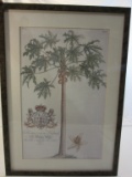 The Prince of Helse - Palm Tree Framed Print